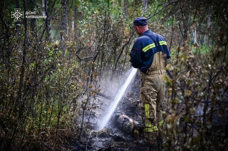Рятувальники ліквідовують пожежу у Чорнобильських лісах