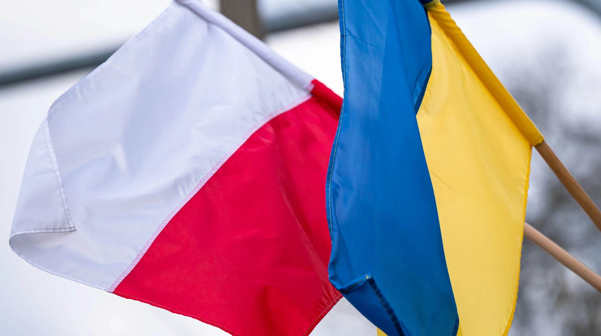 У Львові офіційно стартували ексгумаційні дослідження: деталі рішення та терміни